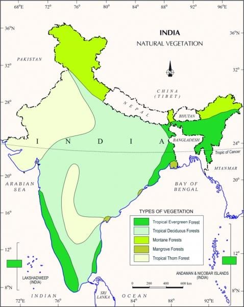 mappa della foresta di mangrovie in India
