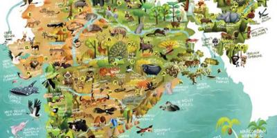 India fauna selvatica mappa