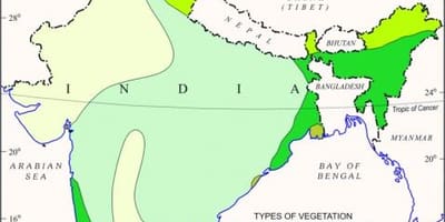 Mappa della foresta di mangrovie in India