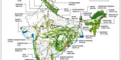 Foresta mappa di India